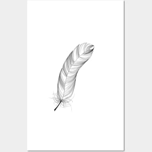 Black and White Feather Posters and Art